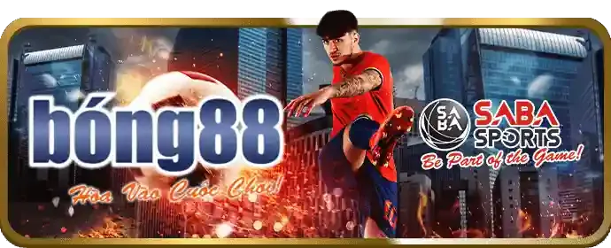 Cá cược thể thao p3bet